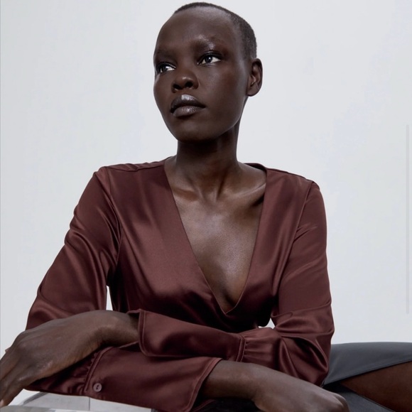 Zara Satin Brown Blouse - Picture 2 of 6